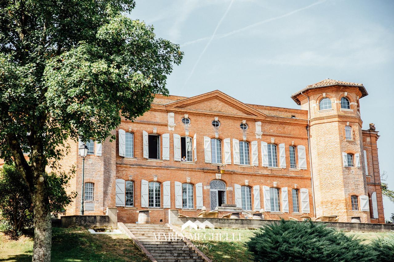 Chateau De Loubejac Montauban Exterior photo